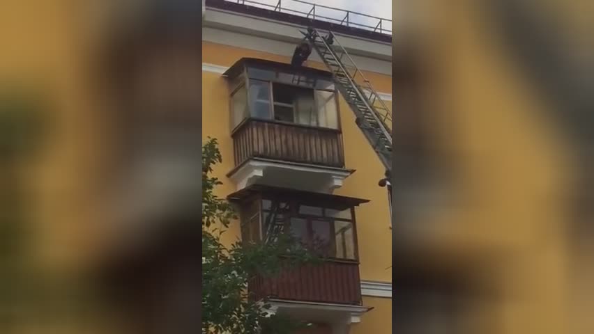 A drunken idiot fell from the 3rd floor while attempting to go