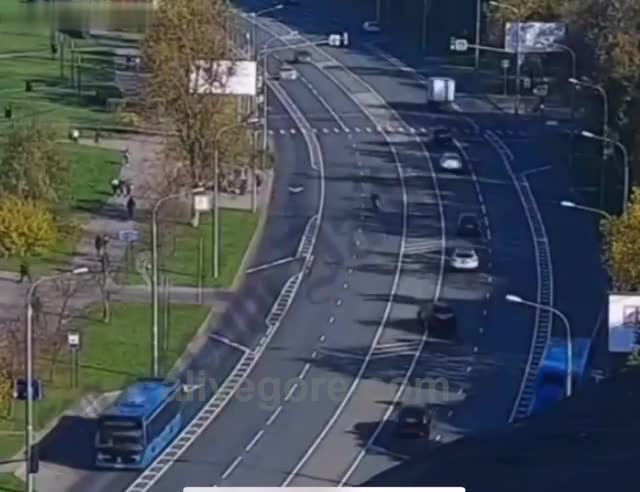 Bicycle rider satisfies car