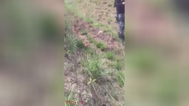 Body parts of a motorcyclist scattered in a field