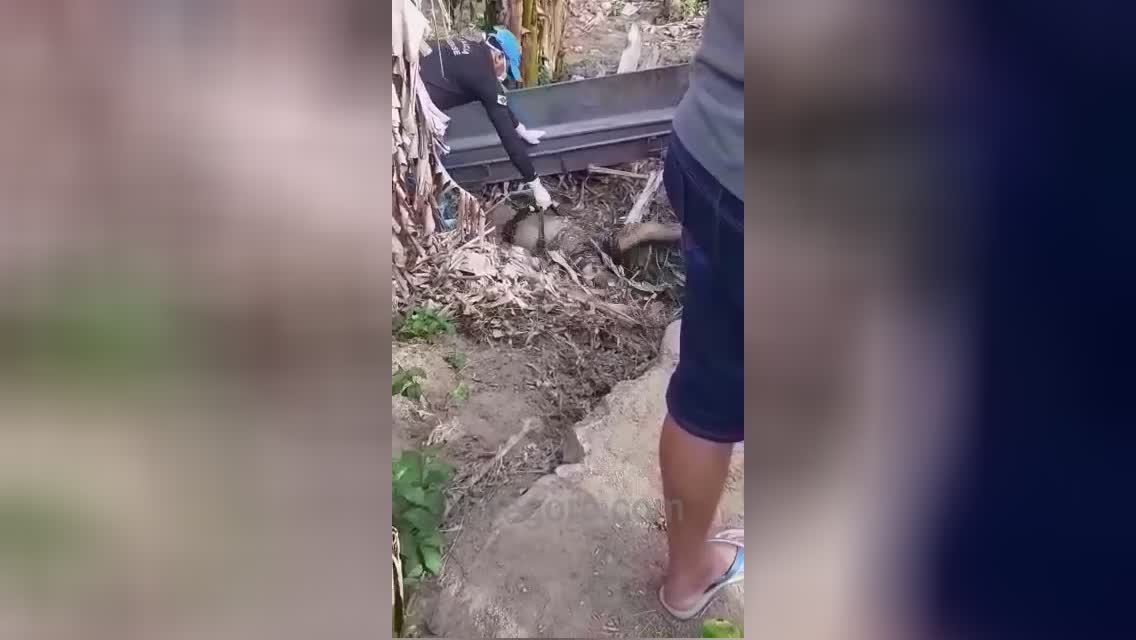 Discovering the buried body of a man eliminated by his nephew