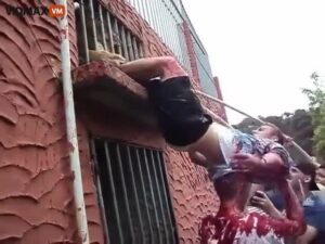 Caution, graphic- male fucked around with the lion enclosure 1 Caution, graphic- male fucked around with the lion enclosure