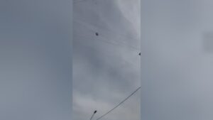 Boy falls to his death after clinging to cables