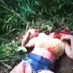 Gore Compilation Video (No Music) (18+)
