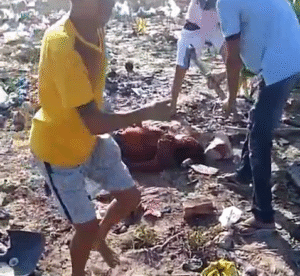 Three Ruthless Bastards Kill A Man With A Club, An Ax And Stones