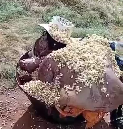 Body Of A Dismembered Man Fits Completely Into One Cauldron