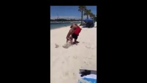 Beach Fight