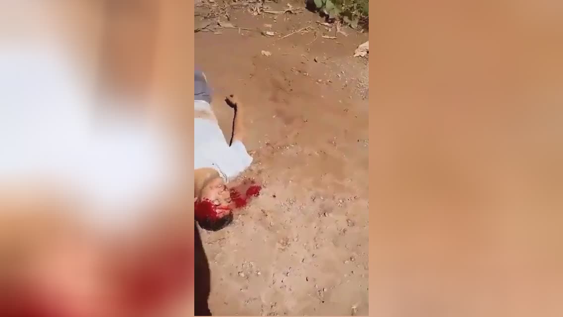 19 year old guy killed his sibling along with a hammer