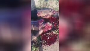 3 dead disfigured authorities 1 3 dead disfigured authorities