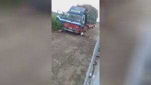 Both truck drivers were electrocuted through a post struck by a vehicle