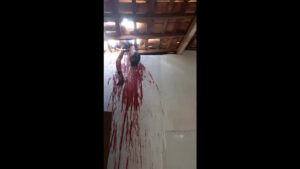 Brazilian santa clam claus acquires greater than biscuits as well as milk