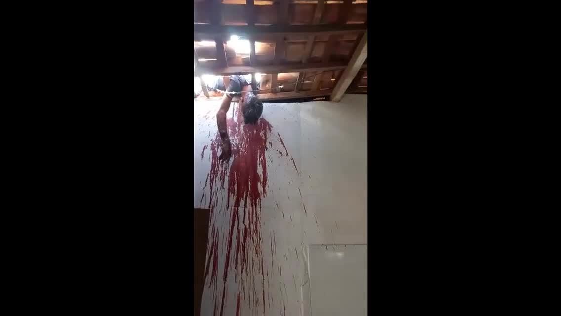 Brazilian santa clam claus acquires greater than biscuits as well as milk