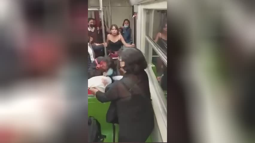 Harsh and bloody cat match on train