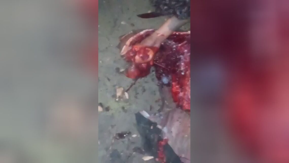 Cruelty you do not see everyday