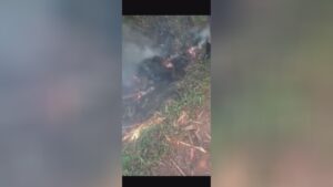 Scorched man accomplished with sticks