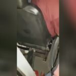 Bus chauffeur trapped in the cab due to an accident