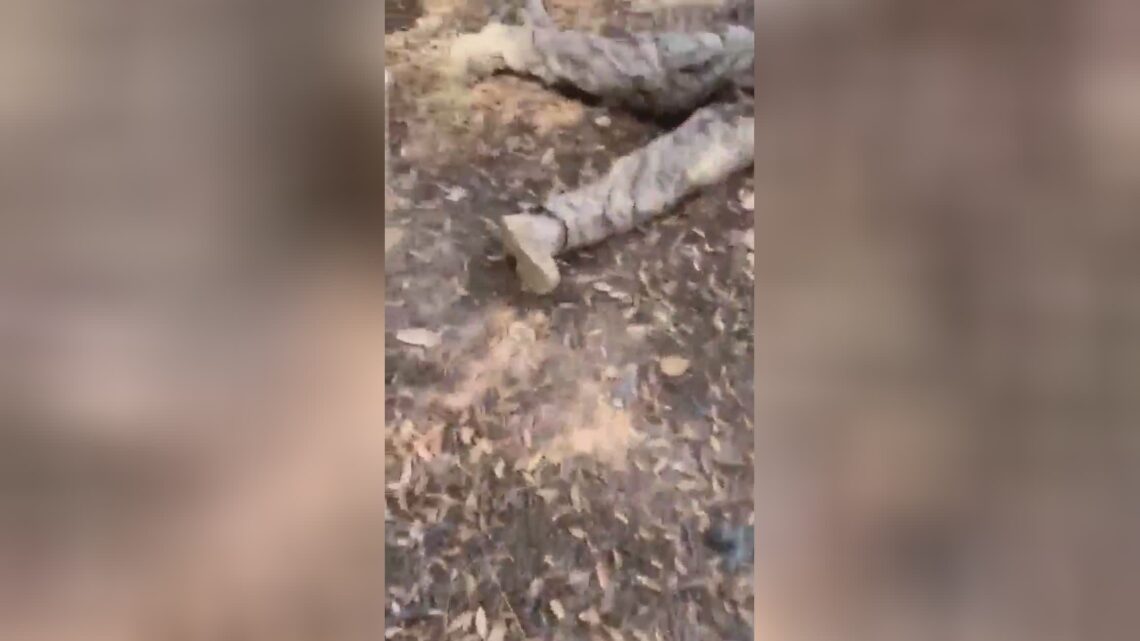 Corporate trust spitefulness in mexico