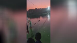 Cable-stayed bridge collapse in india