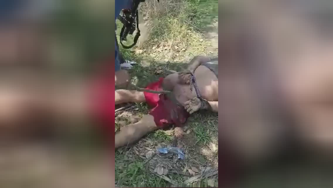 Cartel participant fucked a dead rival along with a tree division