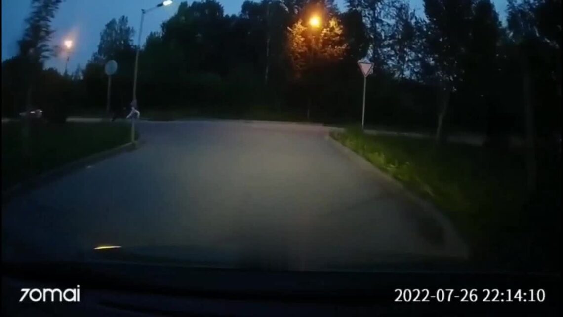 Dashcam catches brutal homicide of teenage lady