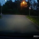 Dashcam catches brutal homicide of teenage lady