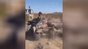 Lifeless medication carriers head to the police terminal