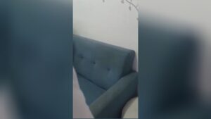 Dentist eliminates pair of wrongdoers who crack into his workplace colombia