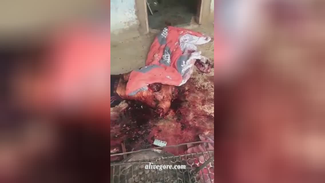 Dismembered body system beginning to break down