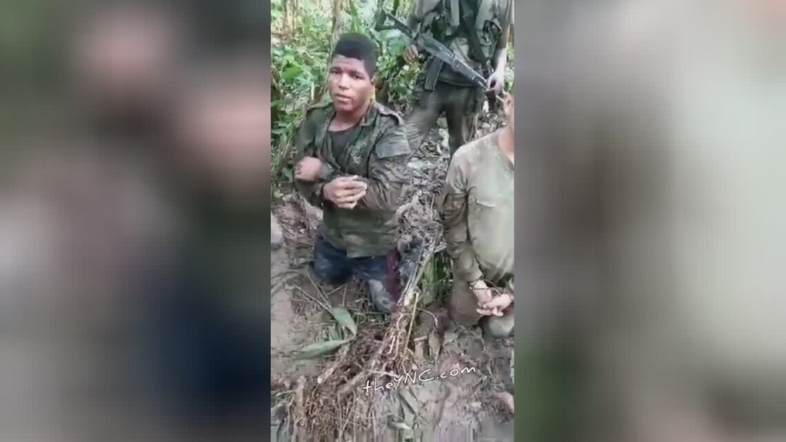 Dismemberment of a gang participant in front end of his pals