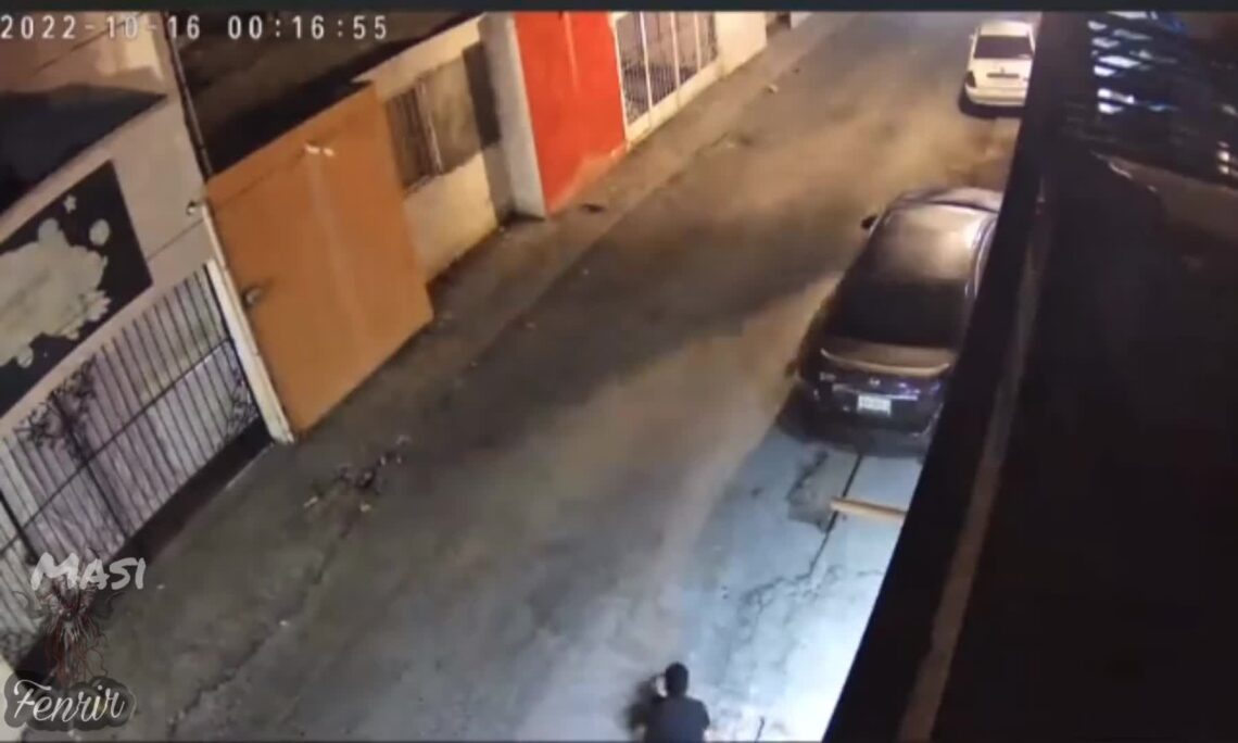 Pet ruins residence attack