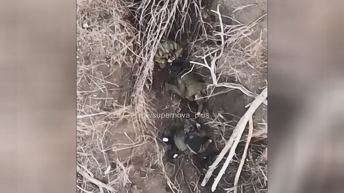 Drone falls a huge explosive inside a russian trench