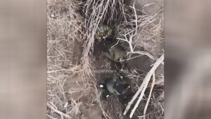 Drone falls a huge explosive inside a russian trench 1 Drone falls a huge explosive inside a russian trench