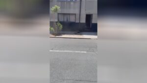 Male chance dead by cops fell off the rooftop of a building