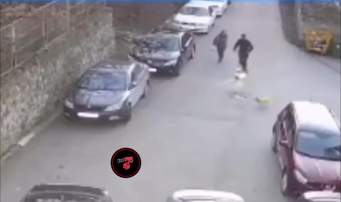 Guy on electric scooter adventures right into pet dog