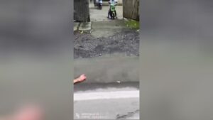 Male body torn asunder in a terrible collision