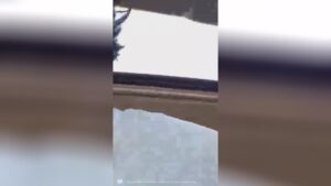 Memphis gunman firing sufferers randomly on fb live