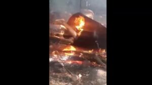 Mexican gangster dismembered and gotten rid of in a gun barrel