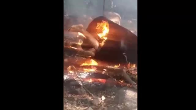 Mexican gangster dismembered and gotten rid of in a gun barrel