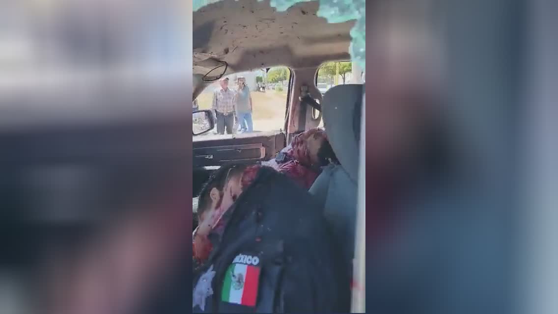 Mexican police leader as well as his bodyguard riddled with bull