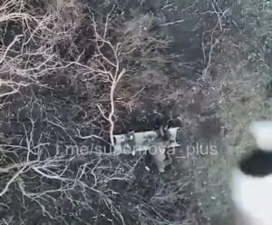  A number of drone dropped explosives on wounded russian soldiers 