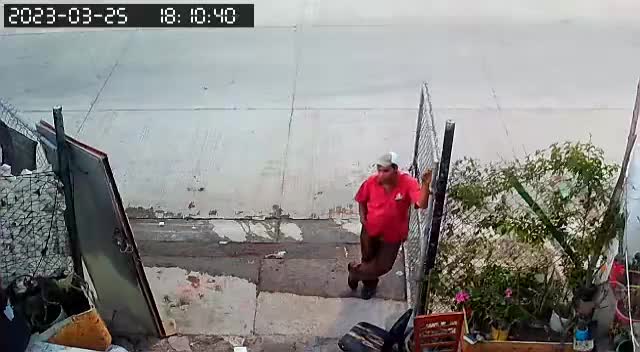 Next-door neighbor asks for his dvd gamer spine as well as killed along