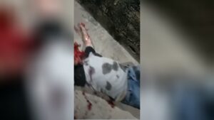 No mercy displayed in new brazilian gang