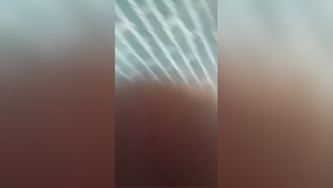 Pos knocks out own gran with a pipe