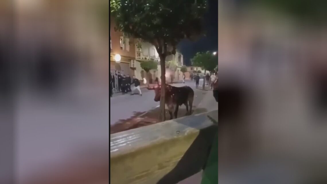 Painful despite having flaming upward in spain