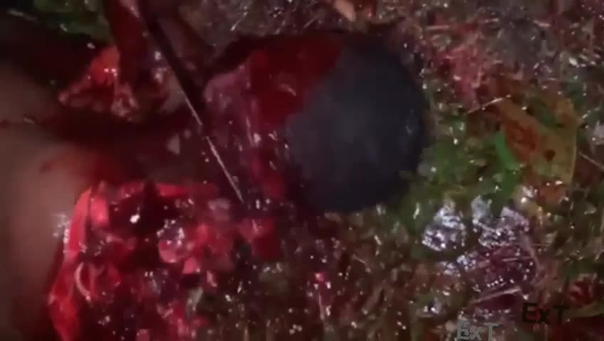 Photograph session of a cut scalp