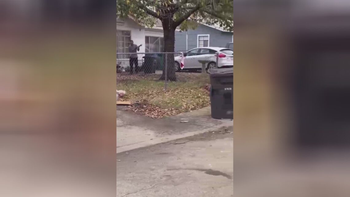Pitbull assault in san antonio, texas