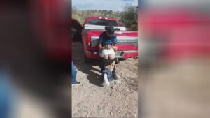 The corporate trust are making use of baseball bats right now 1 The corporate trust are making use of baseball bats right now