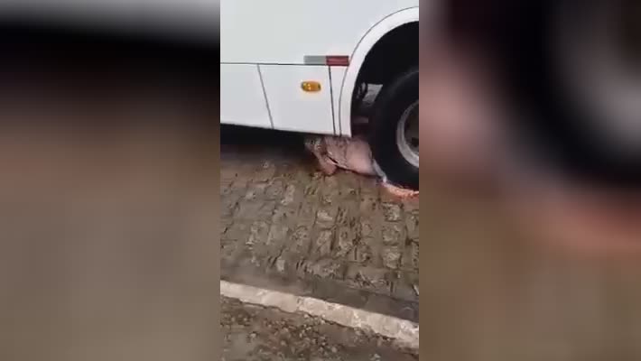 The half-crushed lady waves her hand, or she is actually hot