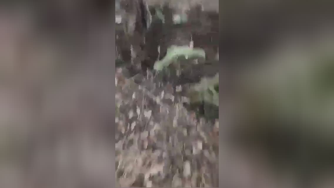 The khokhlys try an unarmed surrendered russian