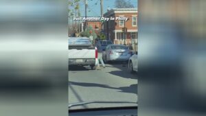 The crook got hold of some louis vuitton goods as well as attempted 1 The crook got hold of some louis vuitton goods as well as attempted