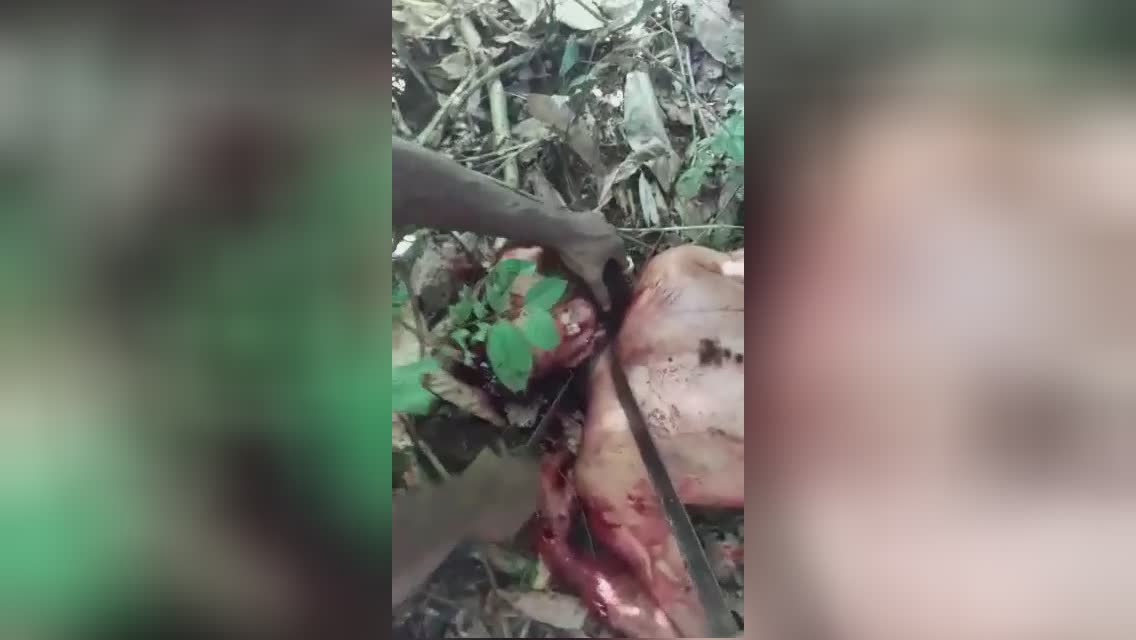 The guy would like to become a participant of the cartel but failed